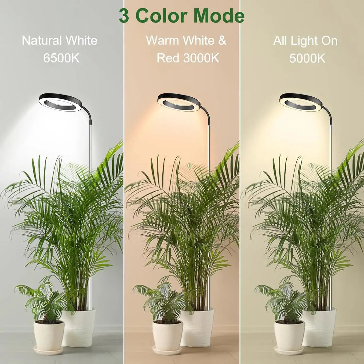 Full Spectrum Grow Light for Indoor Plants - Auto Timer & Adjustable