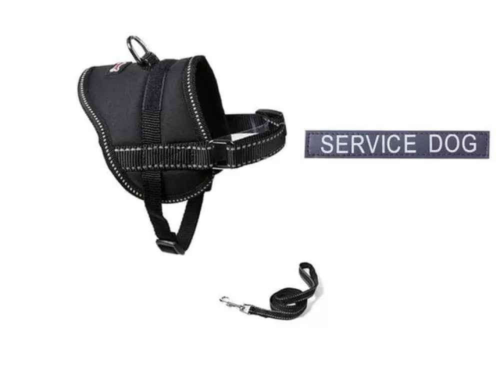 Ninja Reflective puppy harness