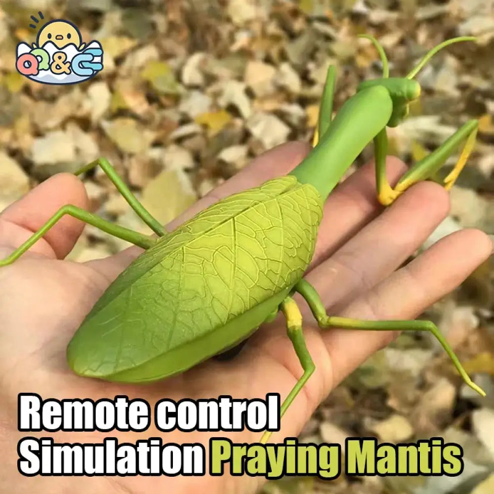 RC Animal Robot Insect Toy Infrared Simulation Slithering Action Flash Light