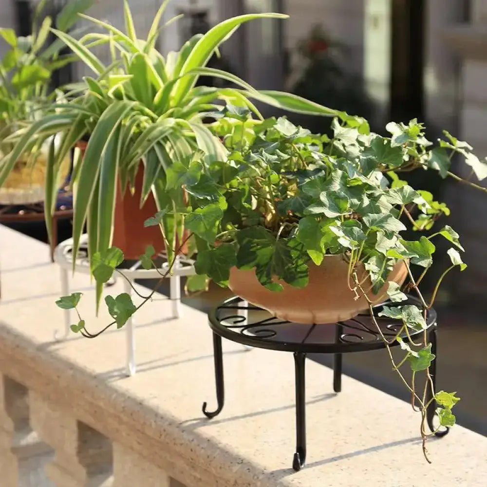 Tall Cast Iron Plant Stand Heavy Duty Vintage Metal Flower Pot Holder