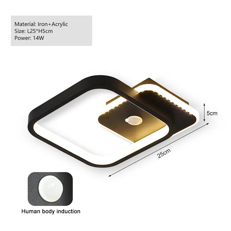 Modern Black PIR Motion Sensor Ceiling Light - Smart Indoor Induction Lamp
