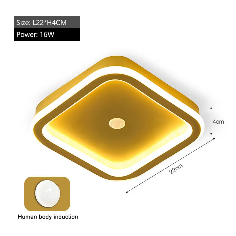 Modern Black PIR Motion Sensor Ceiling Light - Smart Indoor Induction Lamp