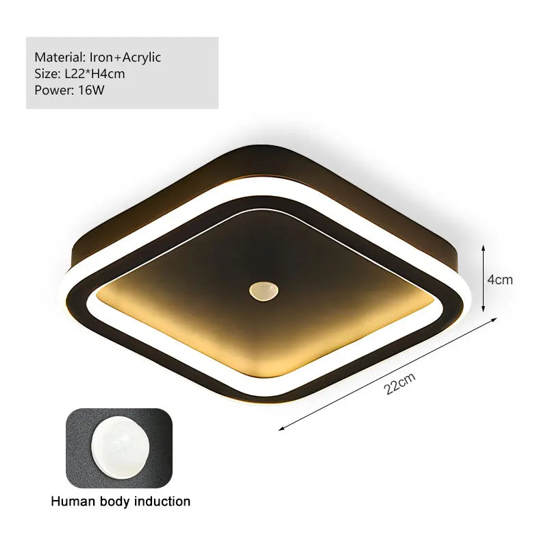 Modern Black PIR Motion Sensor Ceiling Light - Smart Indoor Induction Lamp