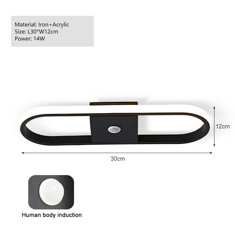 Modern Black PIR Motion Sensor Ceiling Light - Smart Indoor Induction Lamp