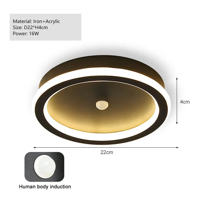 Modern Black PIR Motion Sensor Ceiling Light - Smart Indoor Induction Lamp