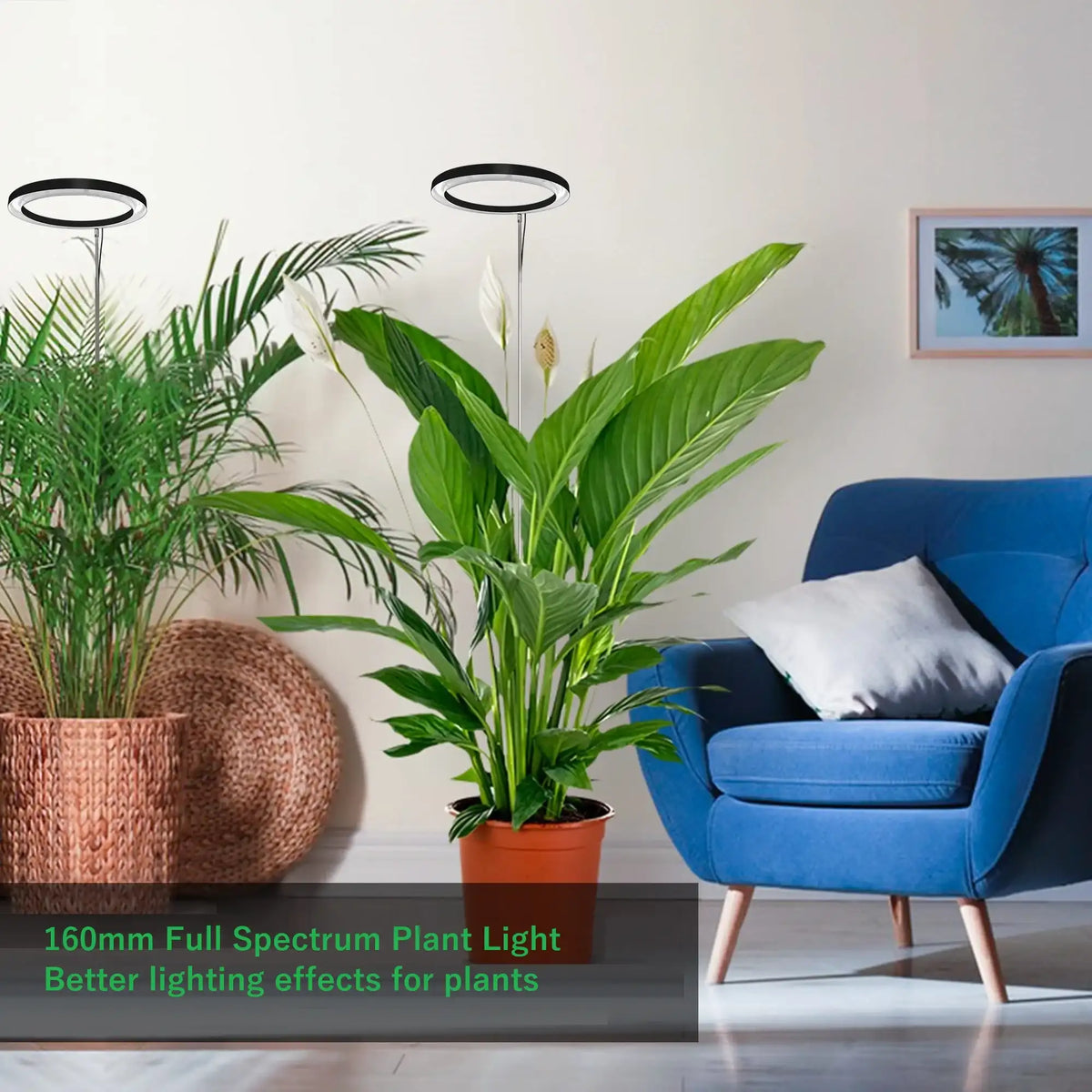 Full Spectrum Grow Light for Indoor Plants - Auto Timer & Adjustable