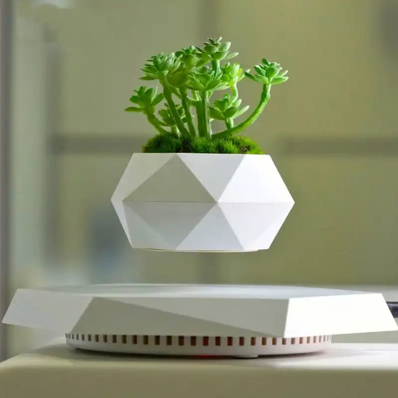 Floating Plant Pot with Magnetic Levitation Base