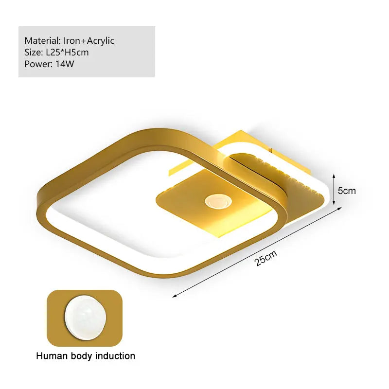 Modern Black PIR Motion Sensor Ceiling Light - Smart Indoor Induction Lamp