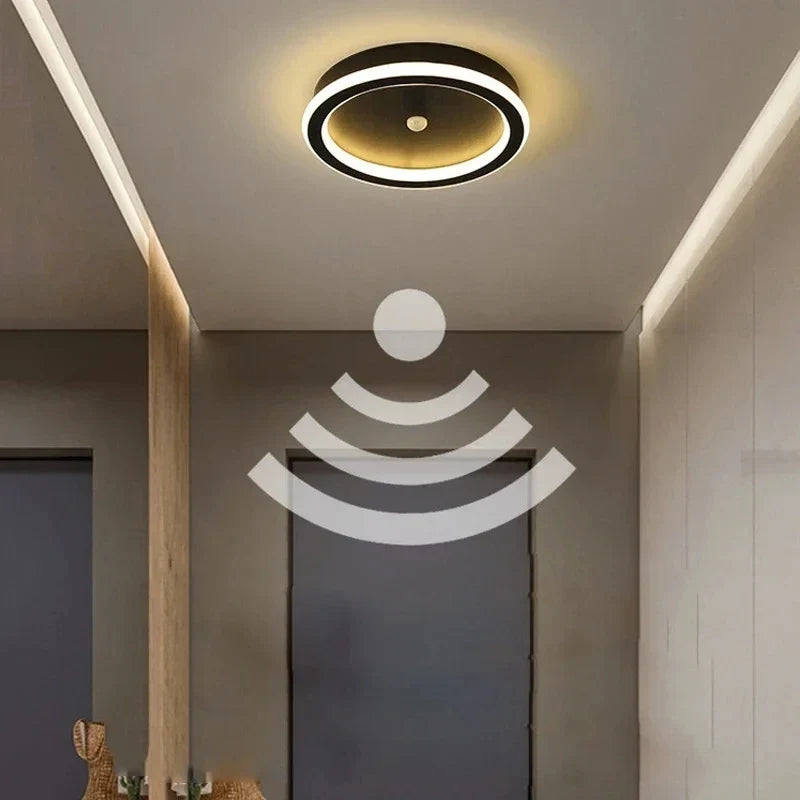 Modern Black PIR Motion Sensor Ceiling Light - Smart Indoor Induction Lamp