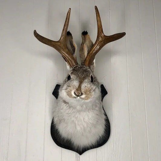 Jackalope Bunny Head Wall Mount – Rustic Antler Decor