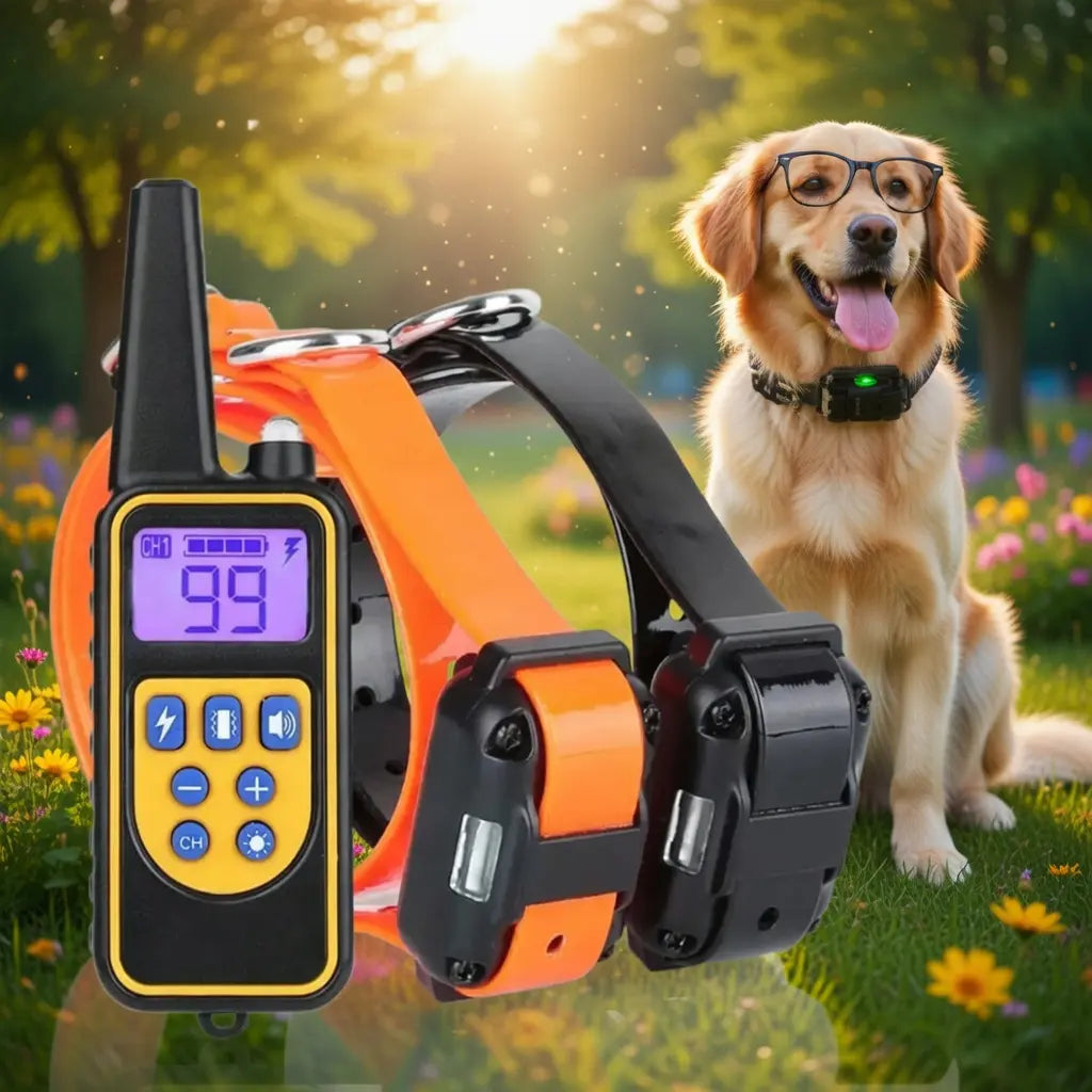 Waterproof Dog Training Collar – 2600FT, 4 Modes, 1–3 Dogs
