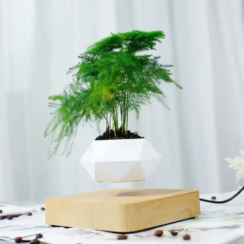 Levitating Air Bonsai Pot - Magnetic Floating Planter with Wood Grain Base