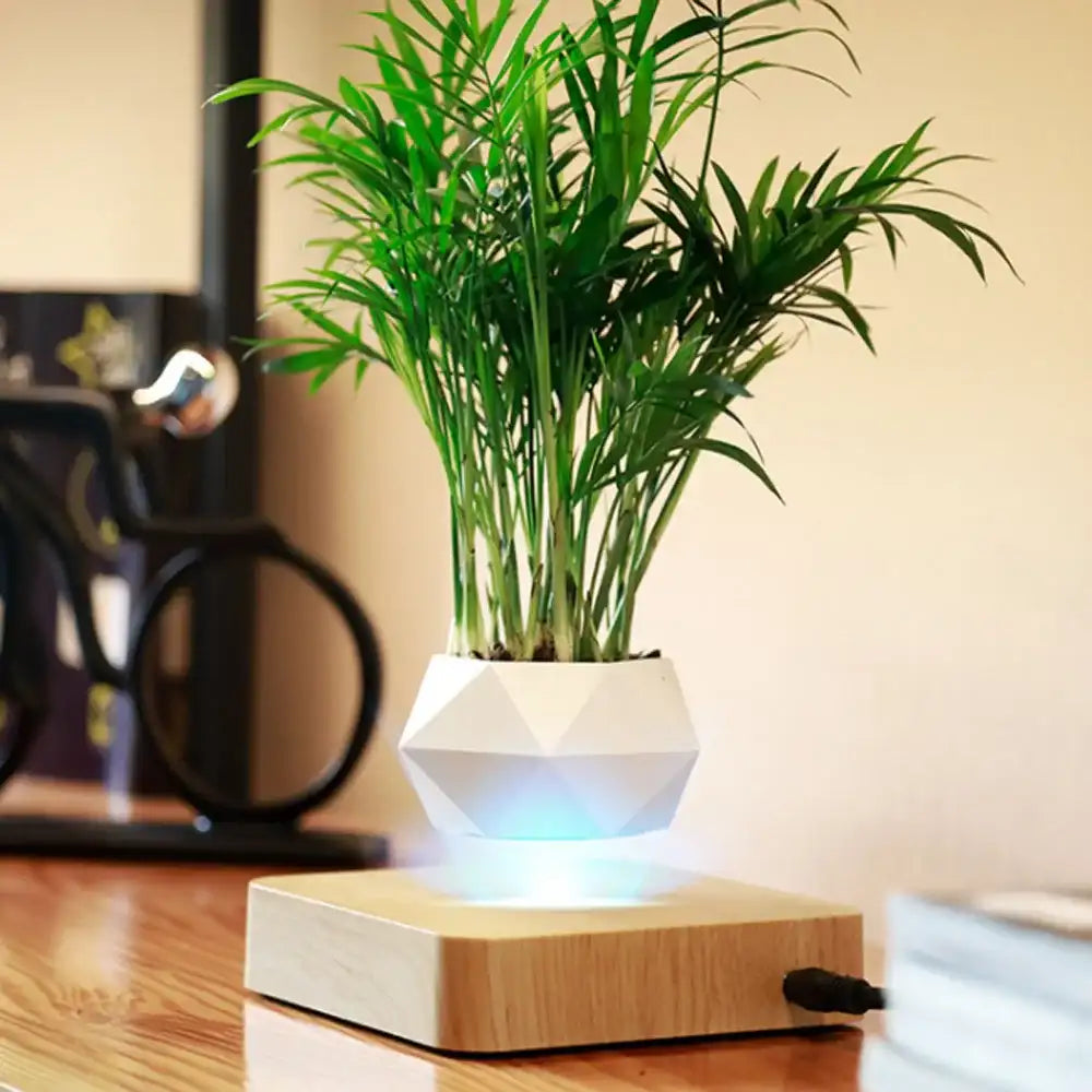 Levitating Air Bonsai Pot - Magnetic Floating Planter with Wood Grain Base