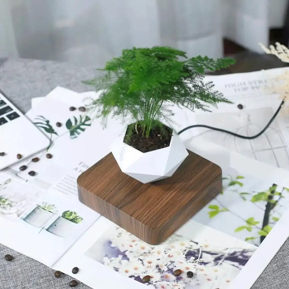 Levitating Air Bonsai Pot - Magnetic Floating Planter with Wood Grain Base