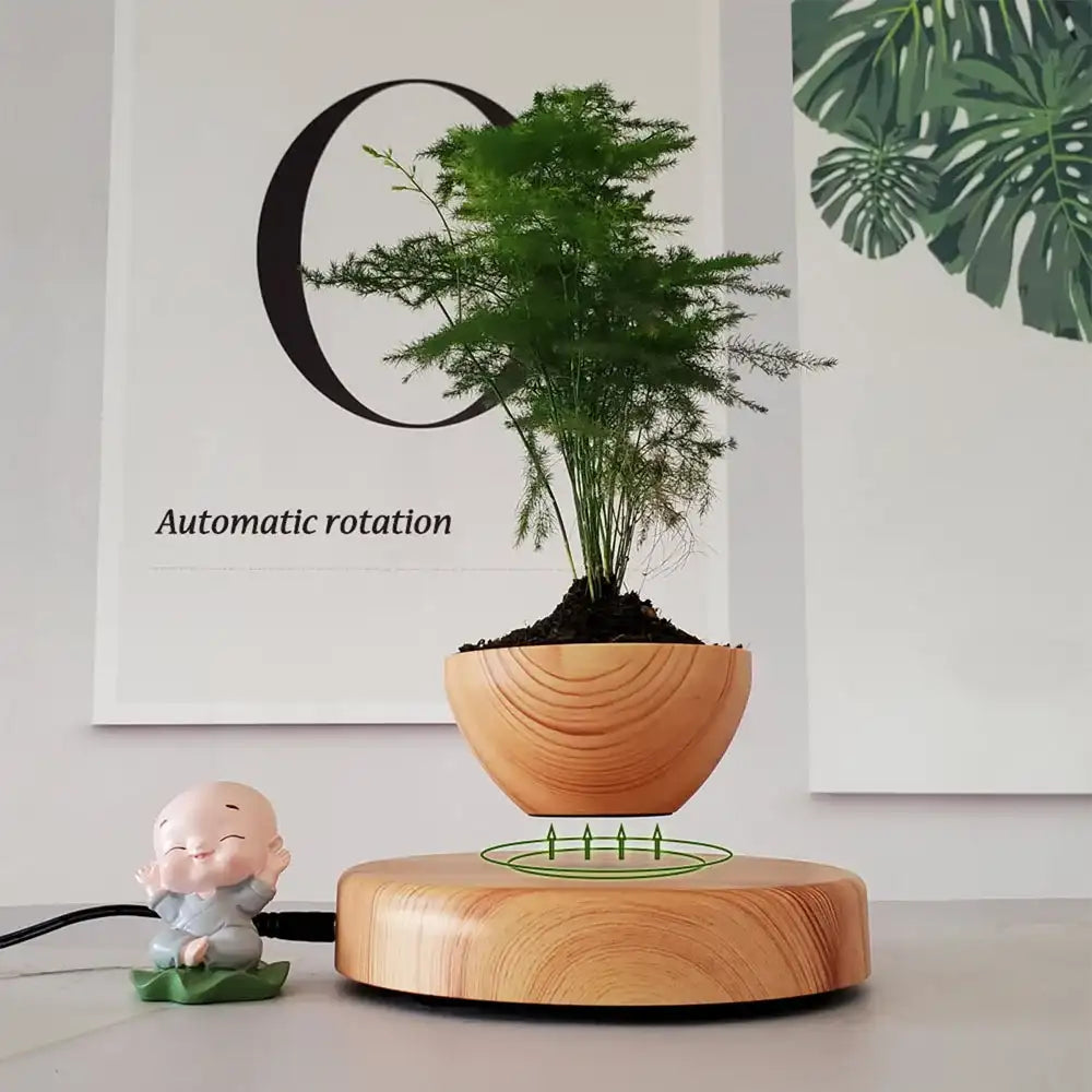 Levitating Air Bonsai Pot - Magnetic Floating Planter with Wood Grain Base