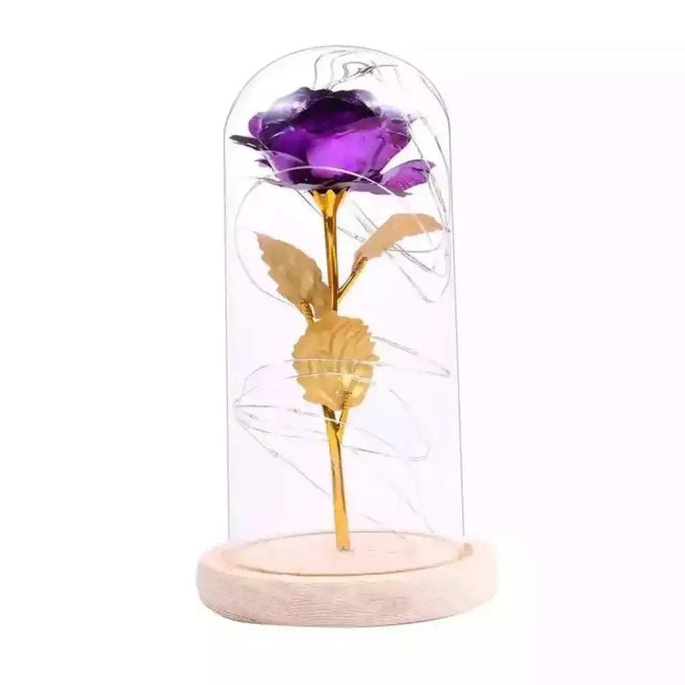 Eternal Kiss Rose