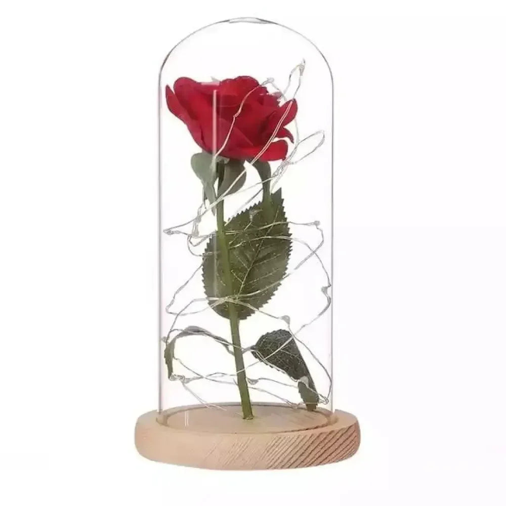 Eternal Kiss Rose