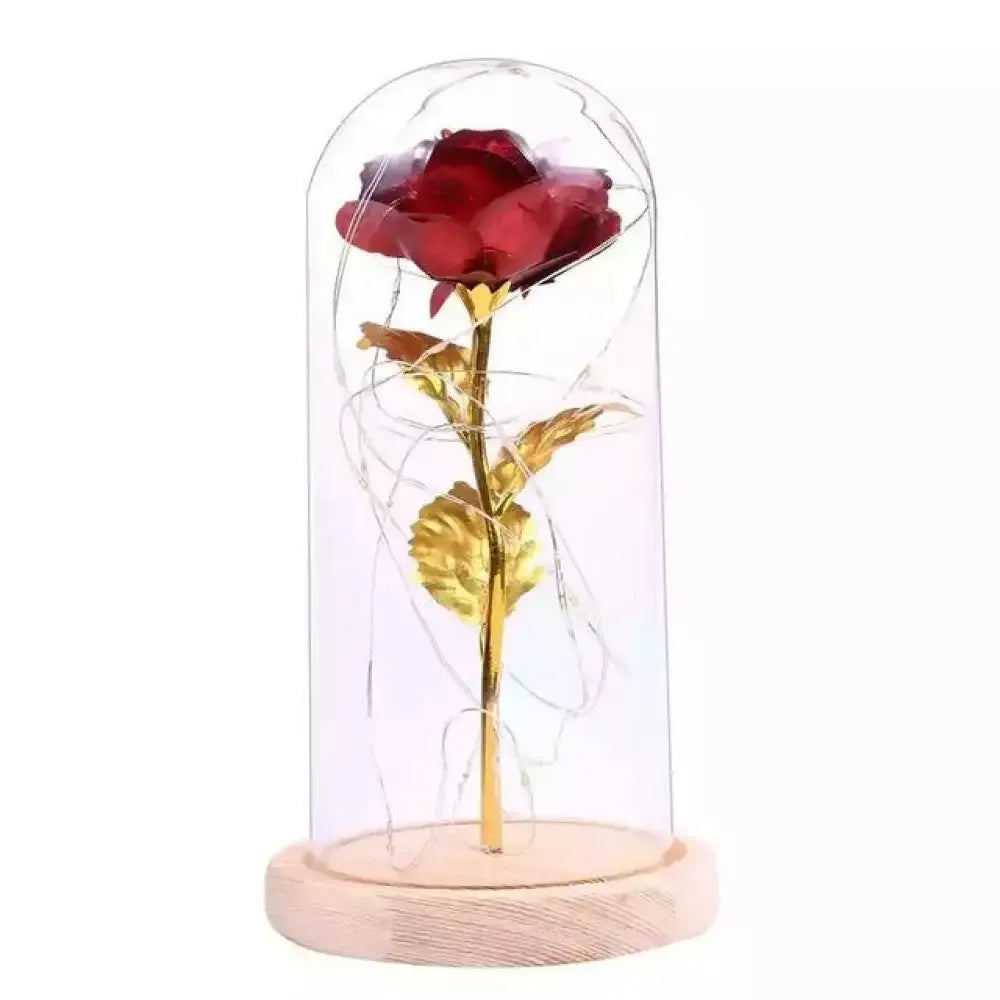 Eternal Kiss Rose