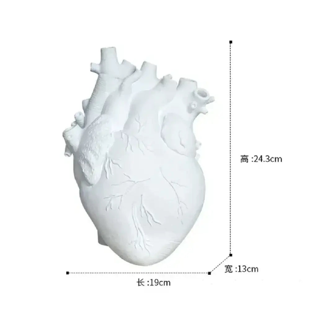 Human Heart Inspired Dry Flower Pot