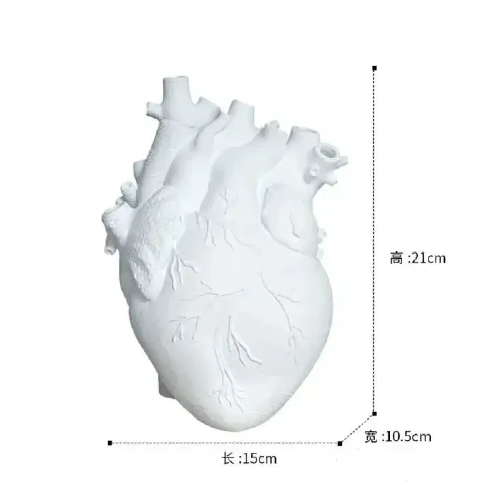 Human Heart Inspired Dry Flower Pot