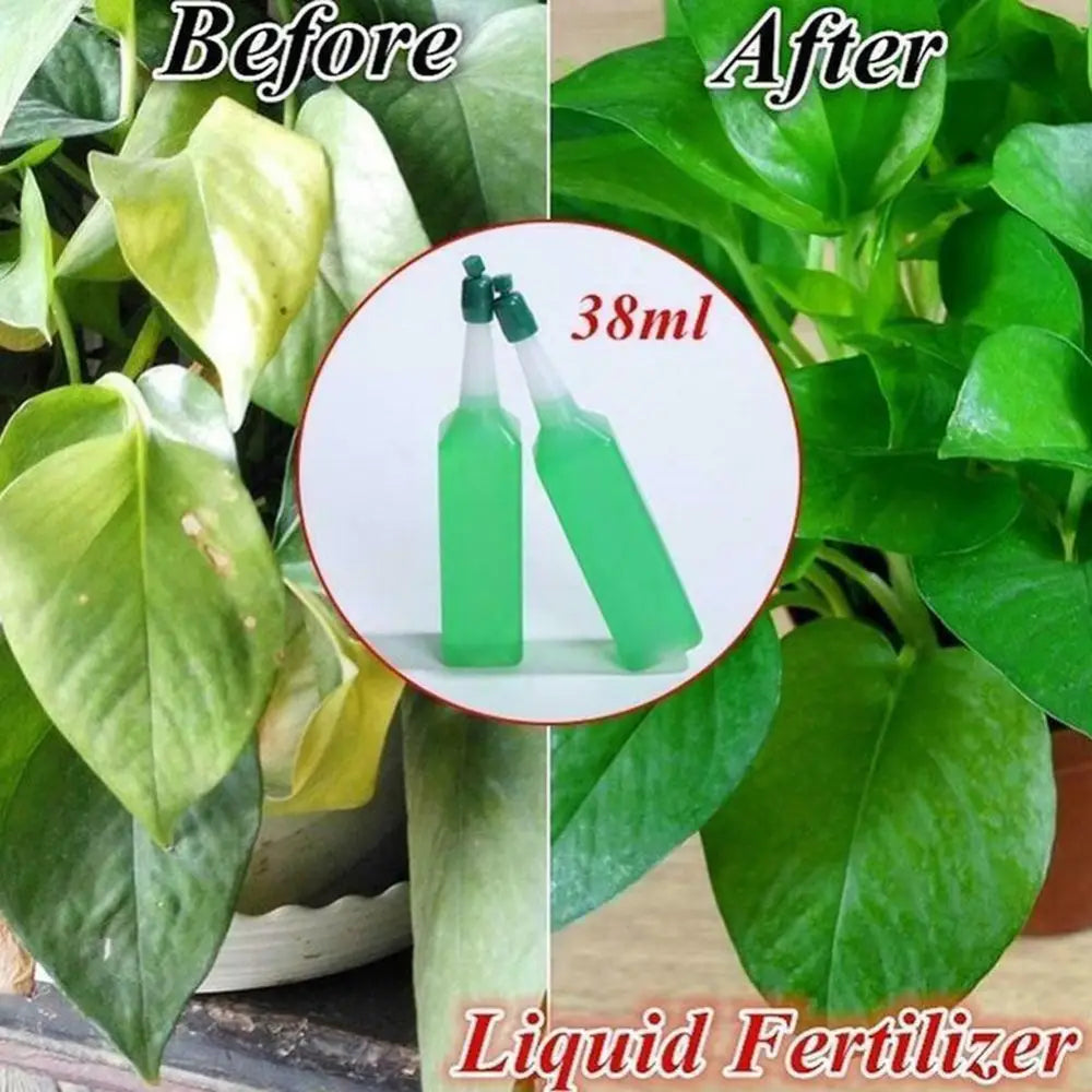Hydroponic Liquid Fertilizer