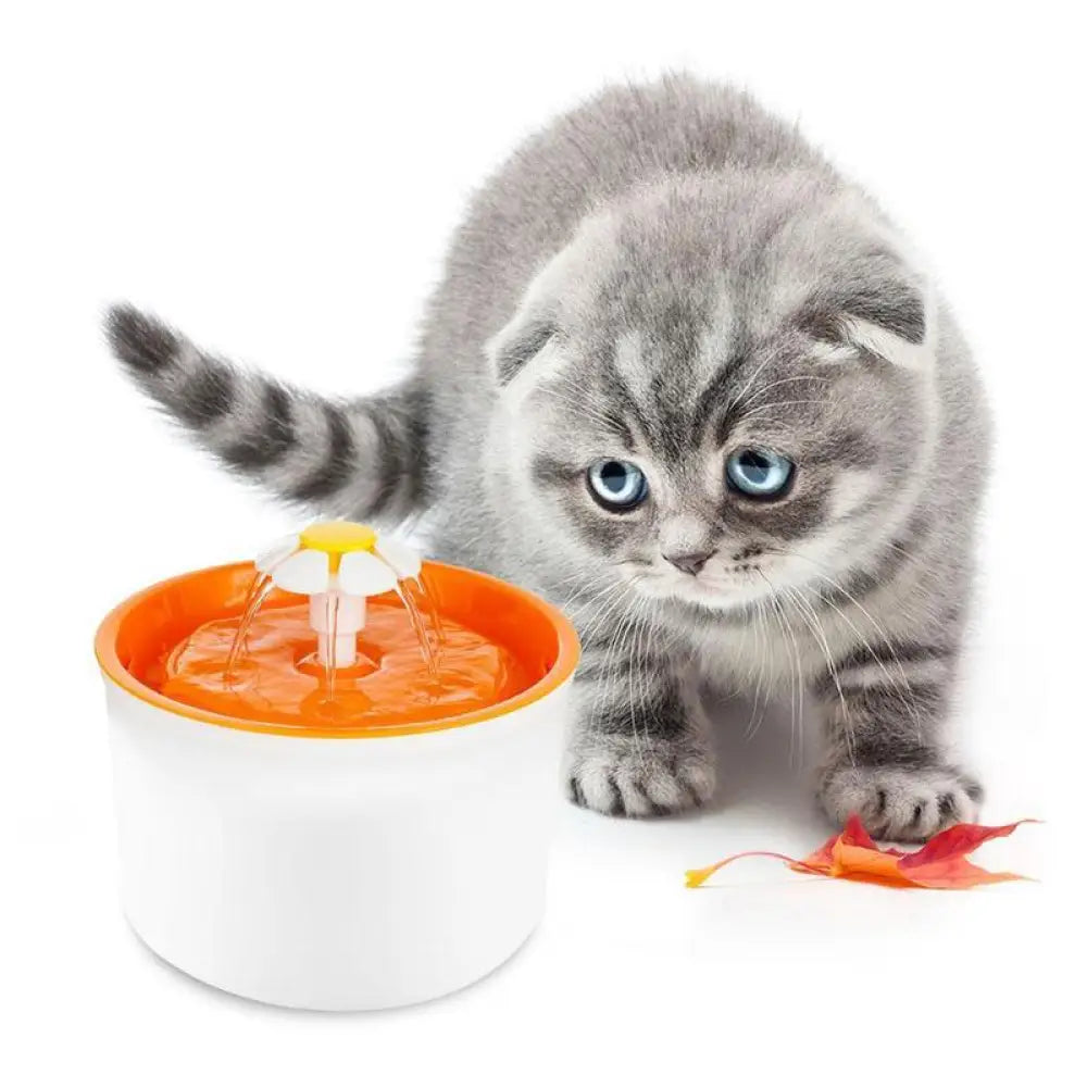 Kitty Fountain