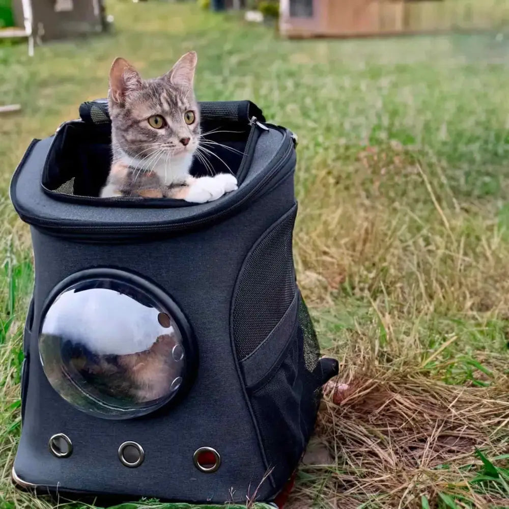 Large-Capacity Pet Capsule PU Backpack for Cats and Dogs