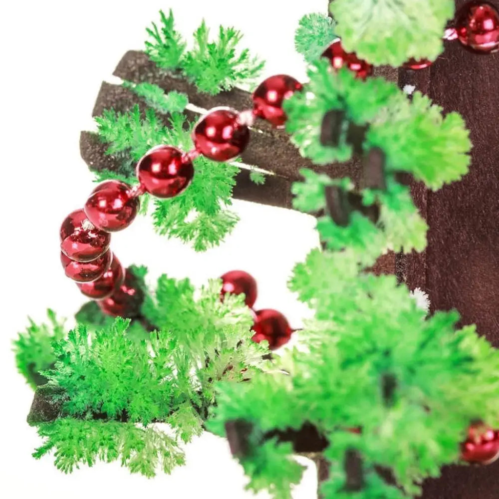 Miracle Growing Christmas Tree
