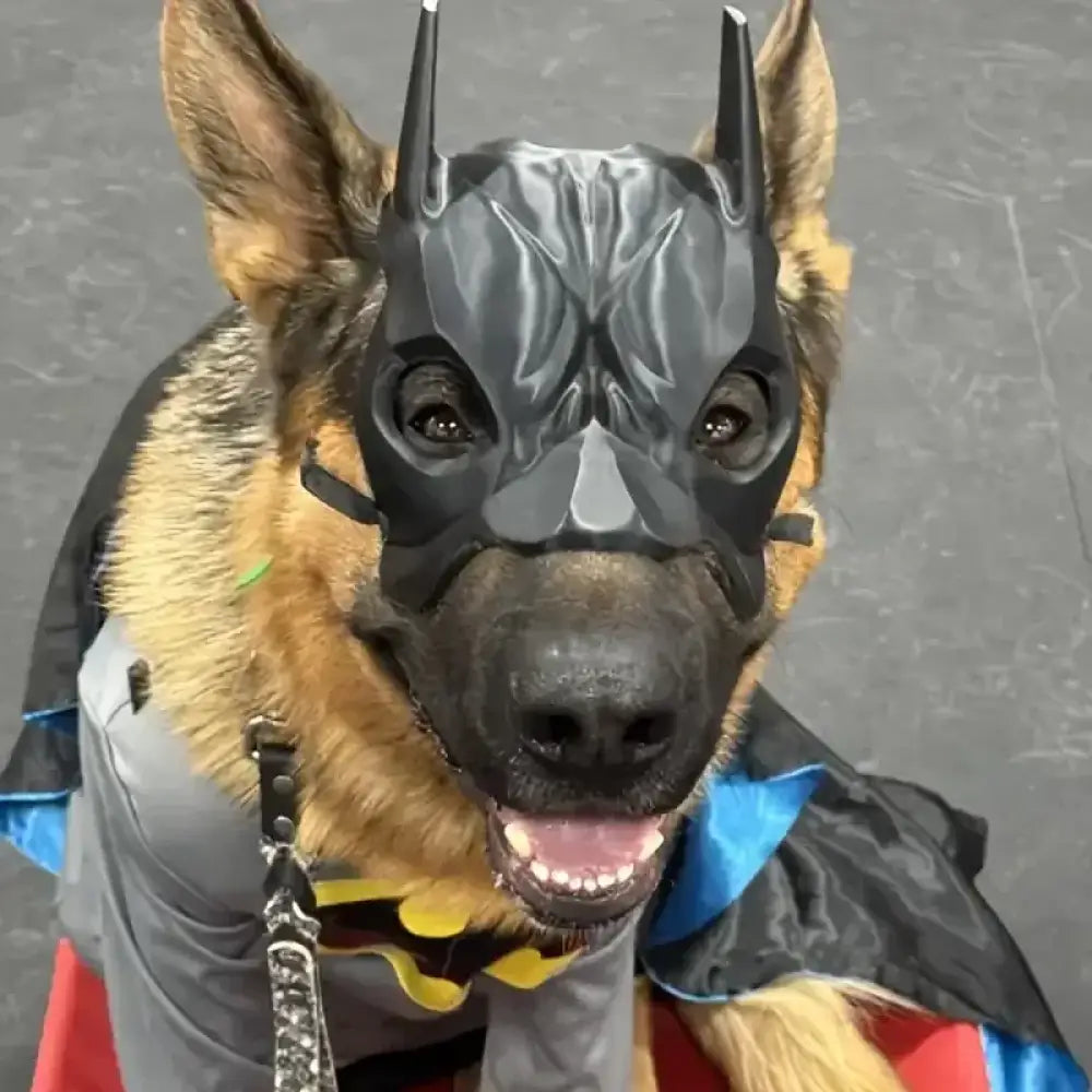 Pet Avengers Mask Set – Halloween Cosplay Costume for Cats & Dogs, Lightweight Pet-Friendly Superhero Party Outfit