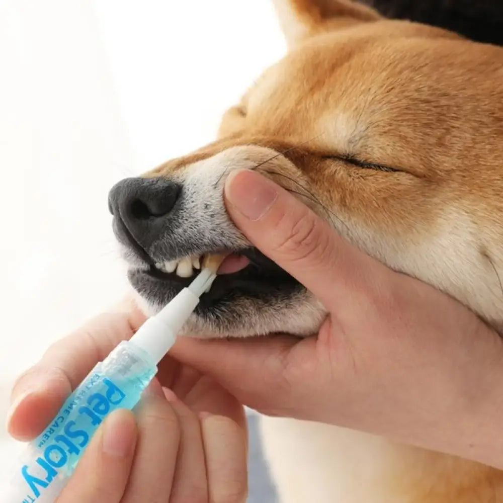 Petstory Dog Teeth Cleaning Tartar Removal Oral Care Gel Kit