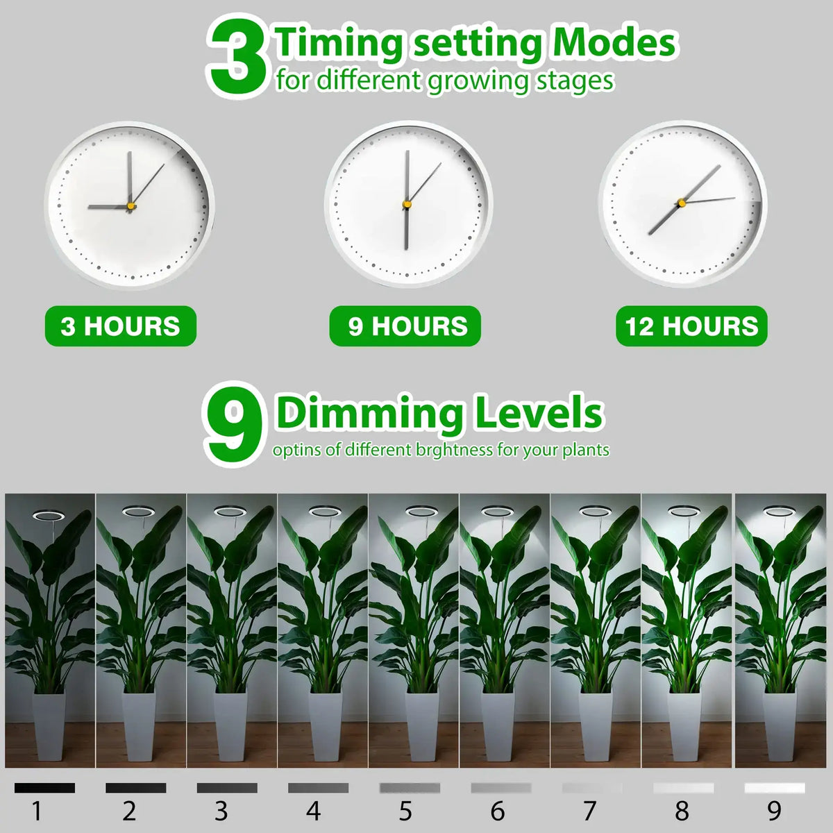 Full Spectrum Grow Light for Indoor Plants - Auto Timer & Adjustable