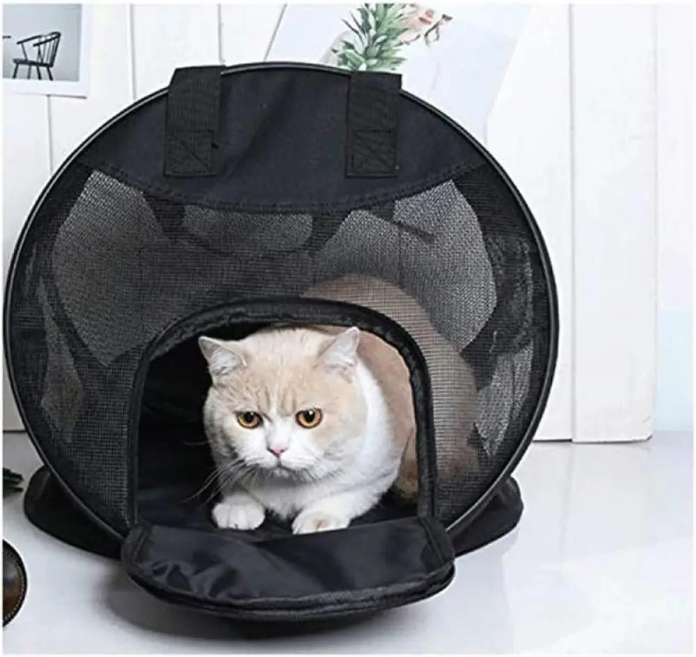 Portable Cat Bag