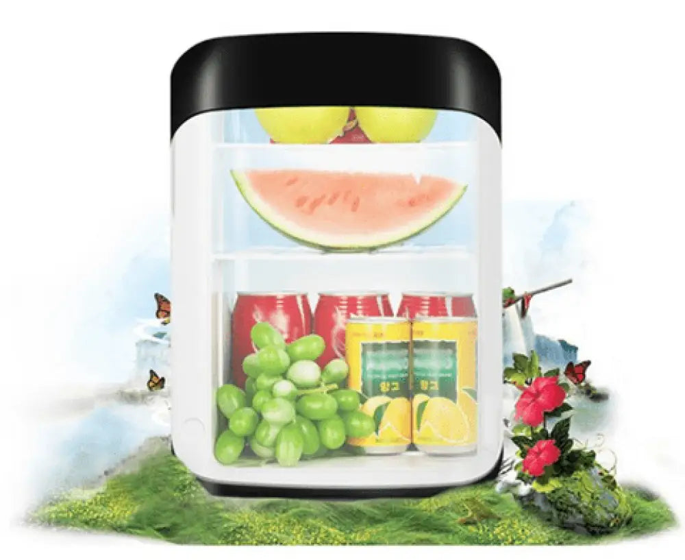 Portable Small Compact Refrigerator 10L