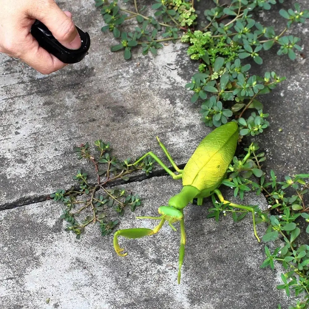 RC Animal Robot Insect Toy Infrared Simulation Slithering Action Flash Light
