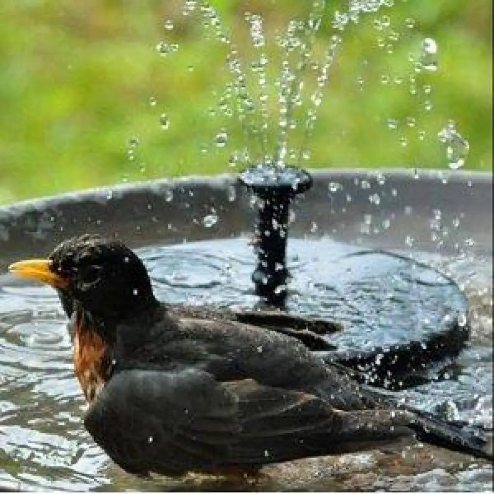 Solar Powered Garden Fountain