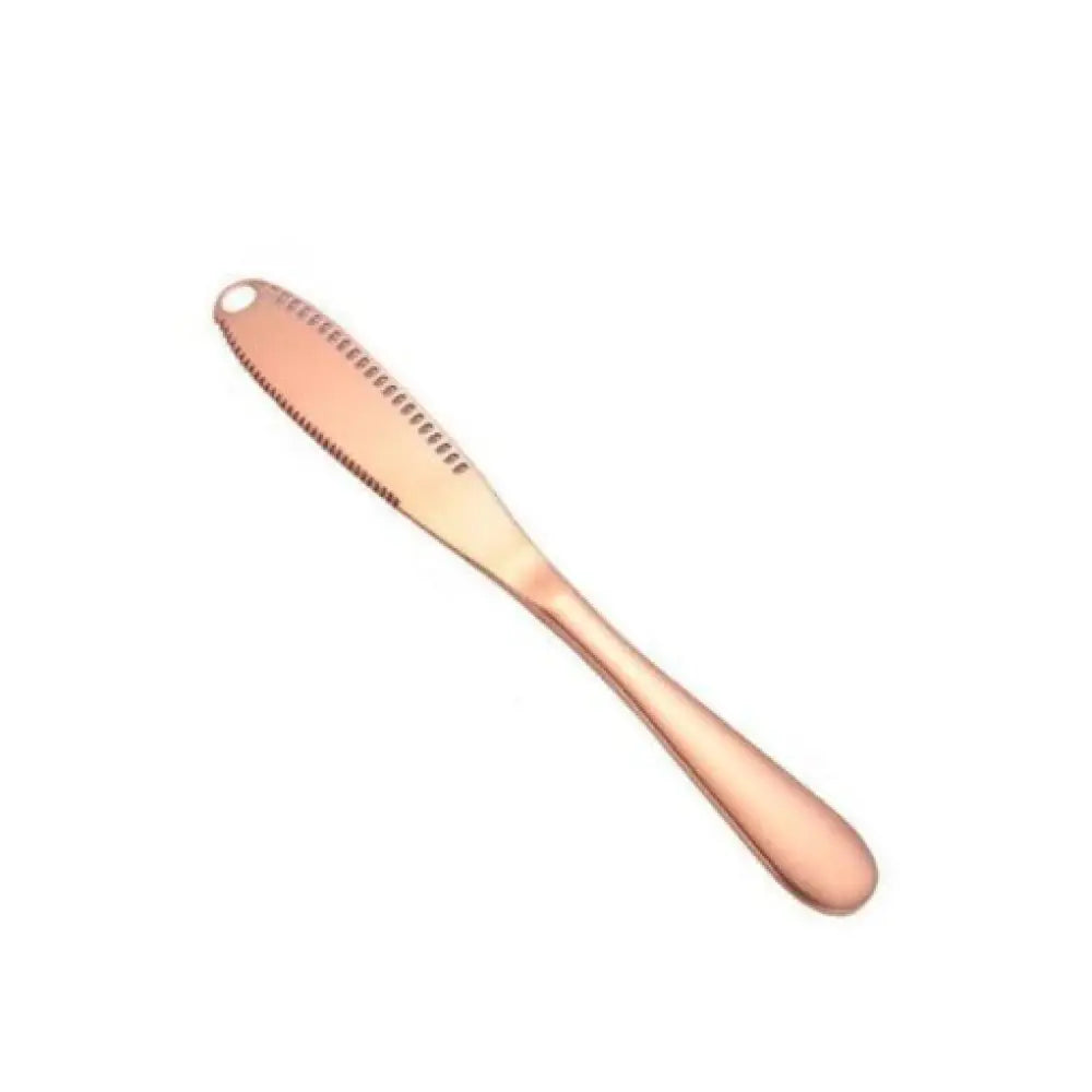 Stainless Steel Cheese and Butter Knife