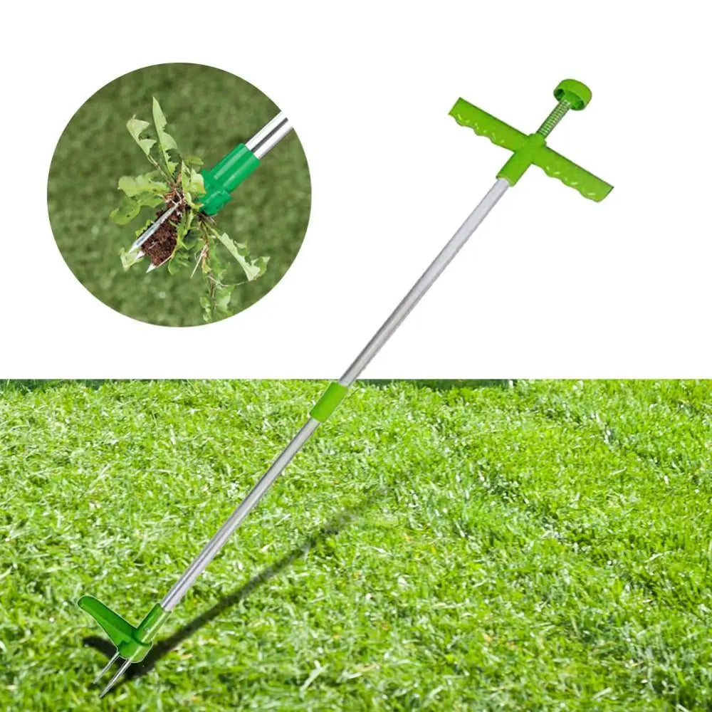 Standing Plant Root Remover