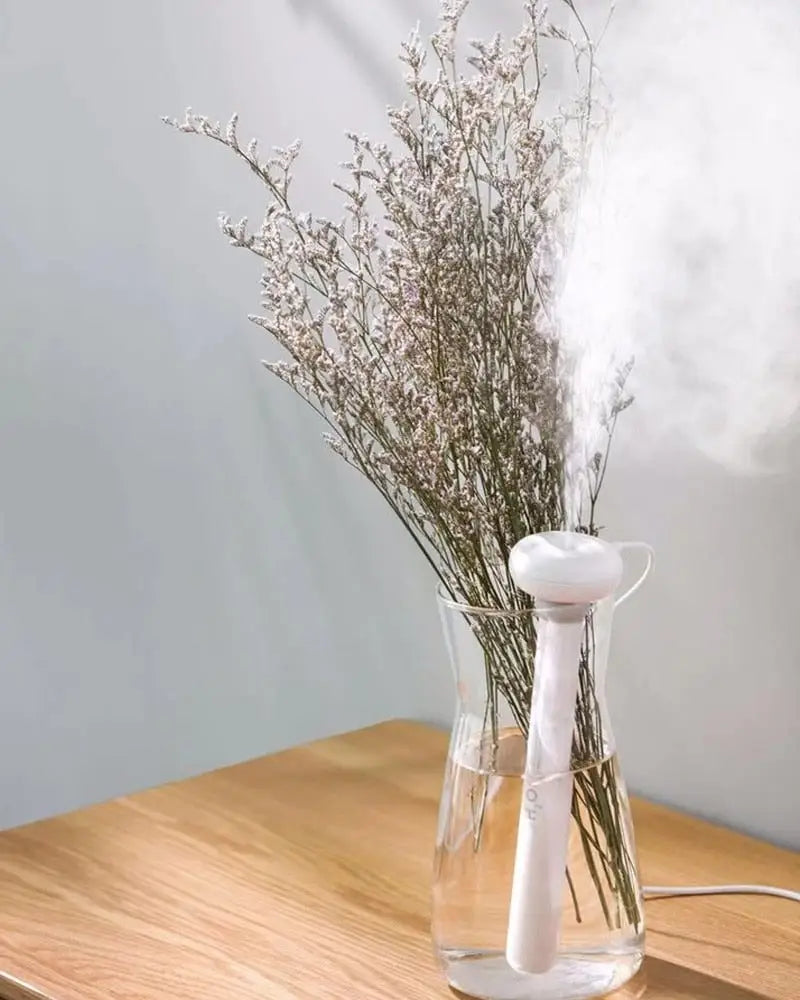 Ultrasonic Portable Air Humidifier