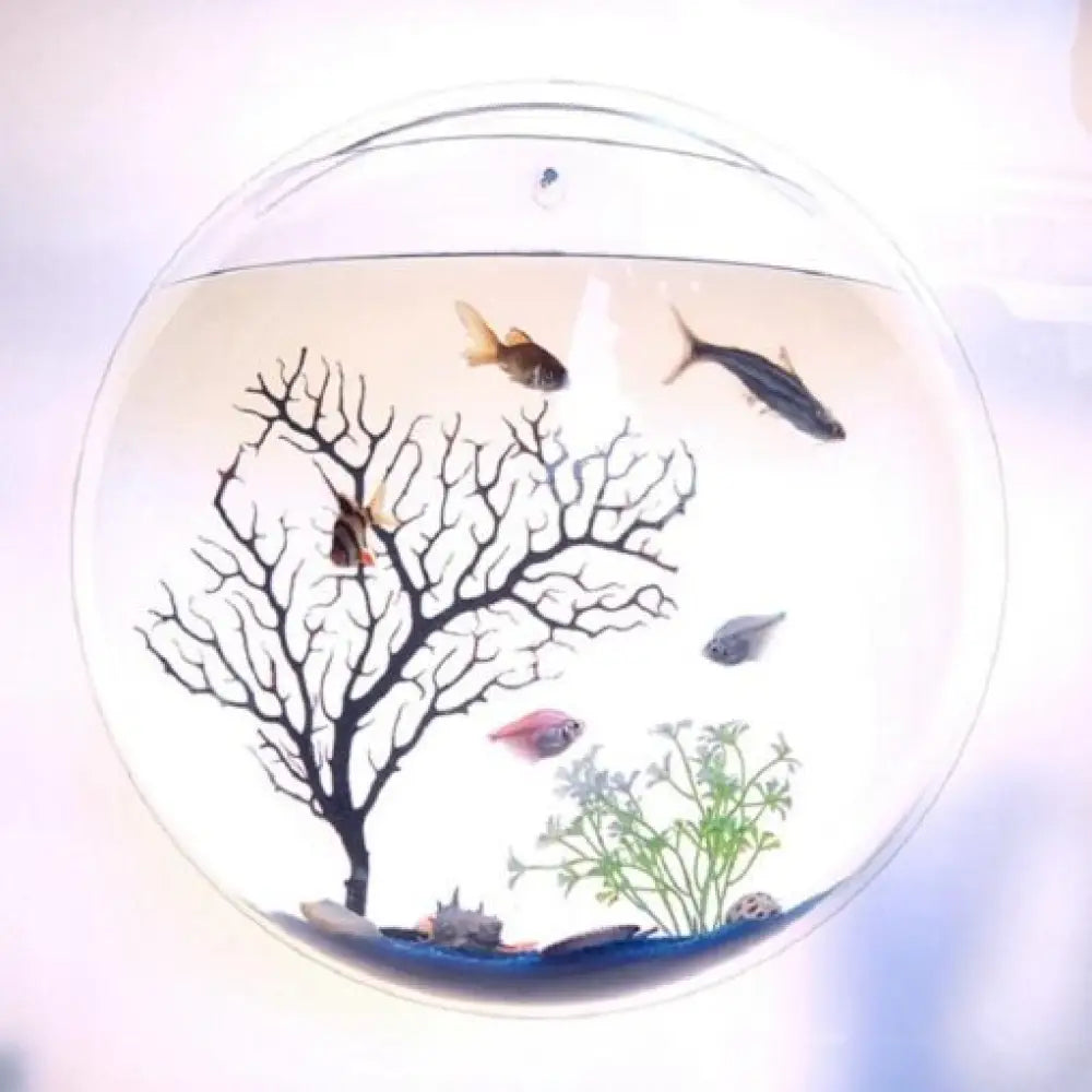 Wall-Mounted Acrylic Fish Bowl – Sphere Aquarium & Plant Pod
