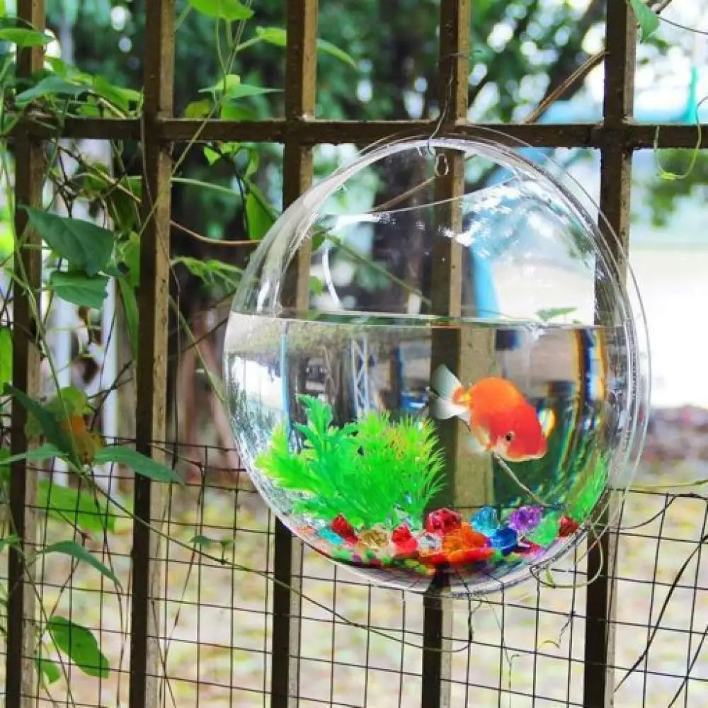 Wall-Mounted Acrylic Fish Bowl – Sphere Aquarium & Plant Pod