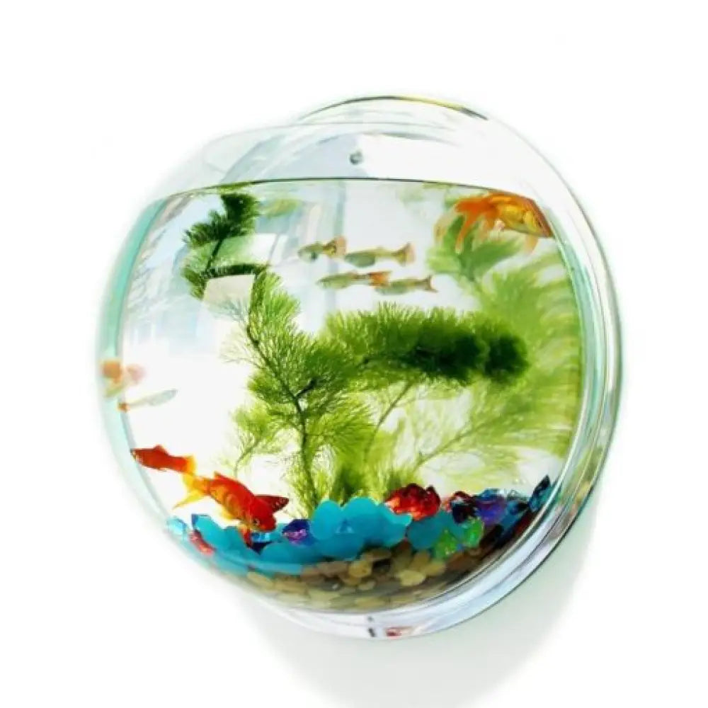Wall-Mounted Acrylic Fish Bowl – Sphere Aquarium & Plant Pod