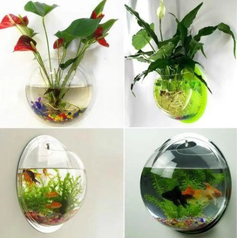 Wall-Mounted Acrylic Fish Bowl – Sphere Aquarium & Plant Pod